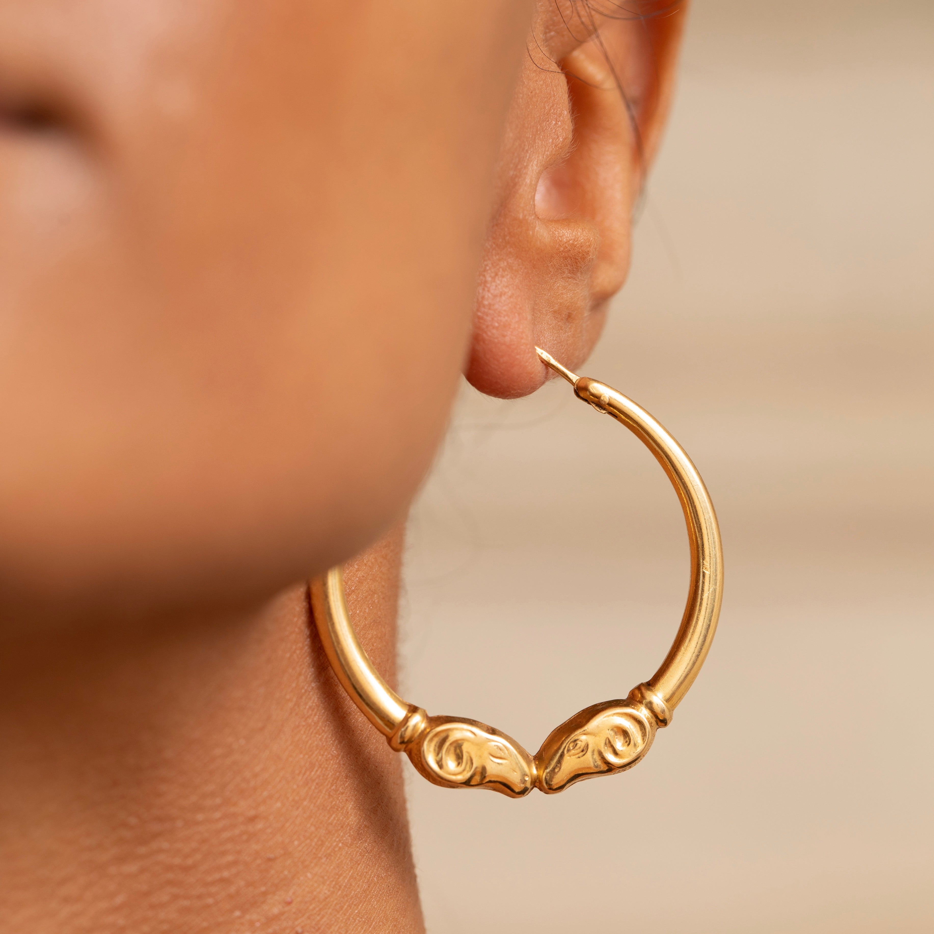 Large Ram 14K Gold Hoop Earrings