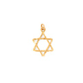 Textured Star of David 14K Gold Charm