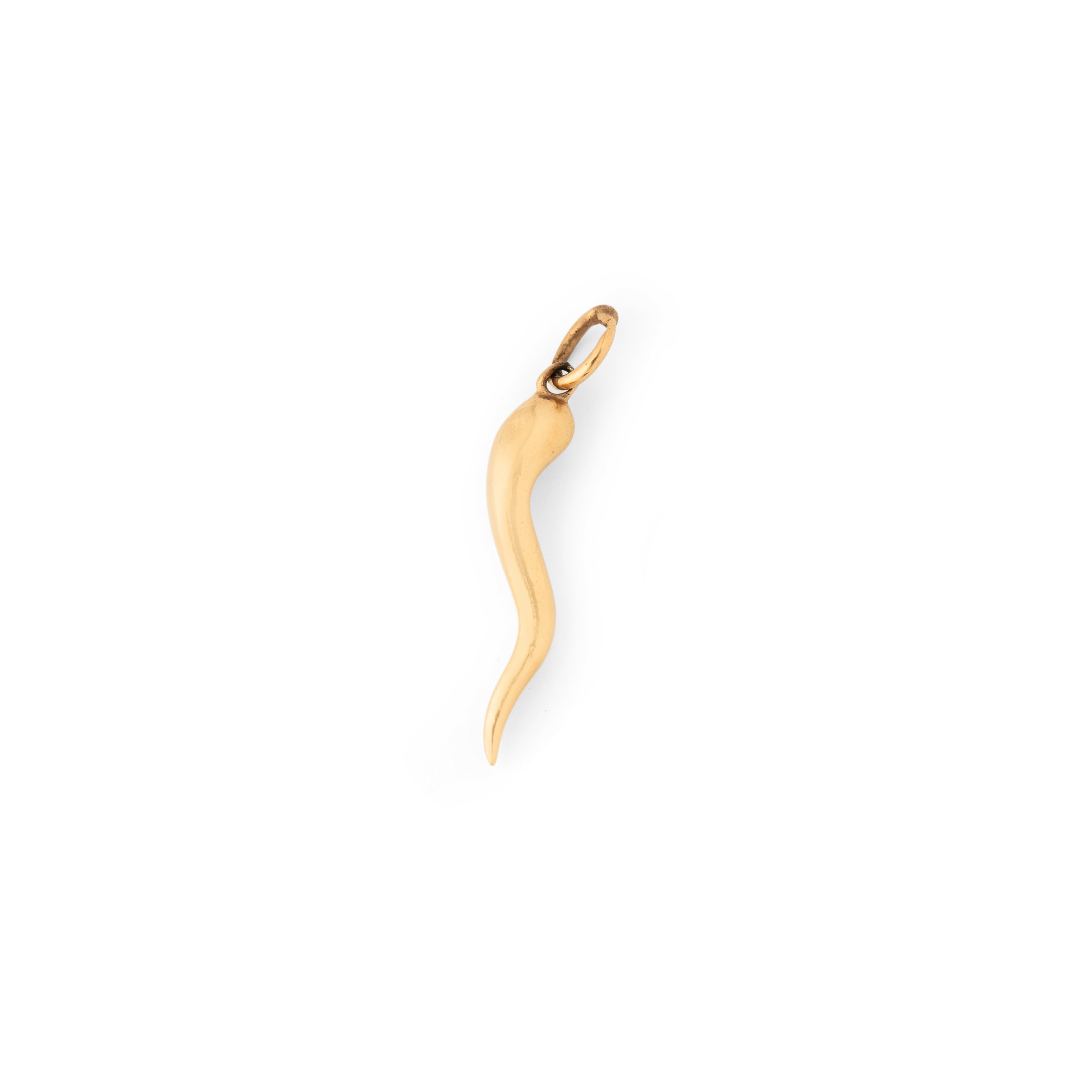 Cornicello 14k Gold Charm