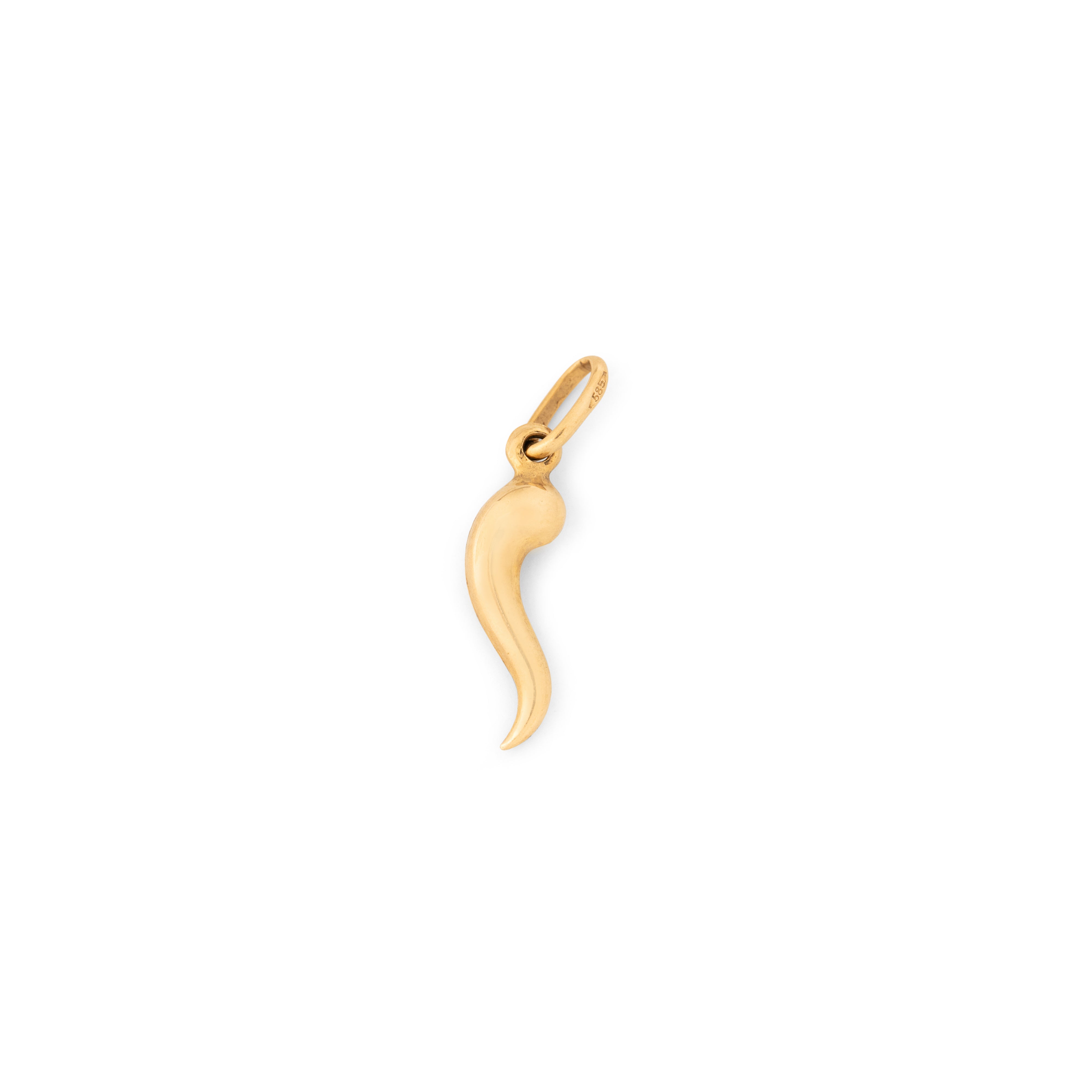 Italian Cornicello 14k Gold Charm