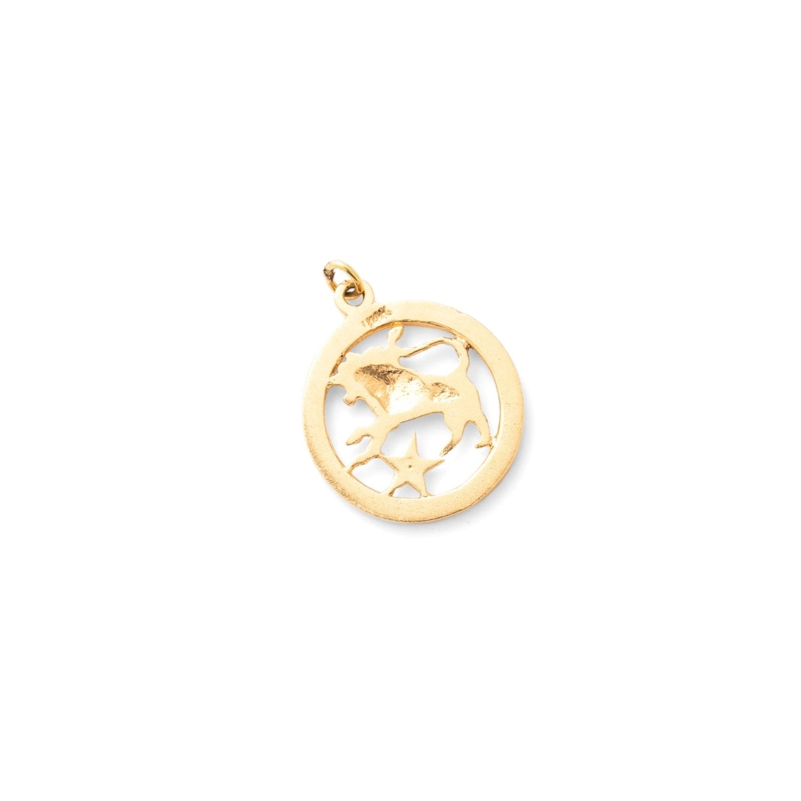 Textured Leo 14K Gold Zodiac Charm