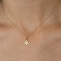 Star of David Diamond and 14k Gold Charm