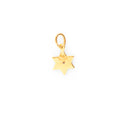 Star of David Diamond and 14k Gold Charm