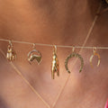 Bi-Color 14K Gold Horse and Horseshoe Charm