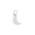 The F&B Crescent Moon Charm Necklace