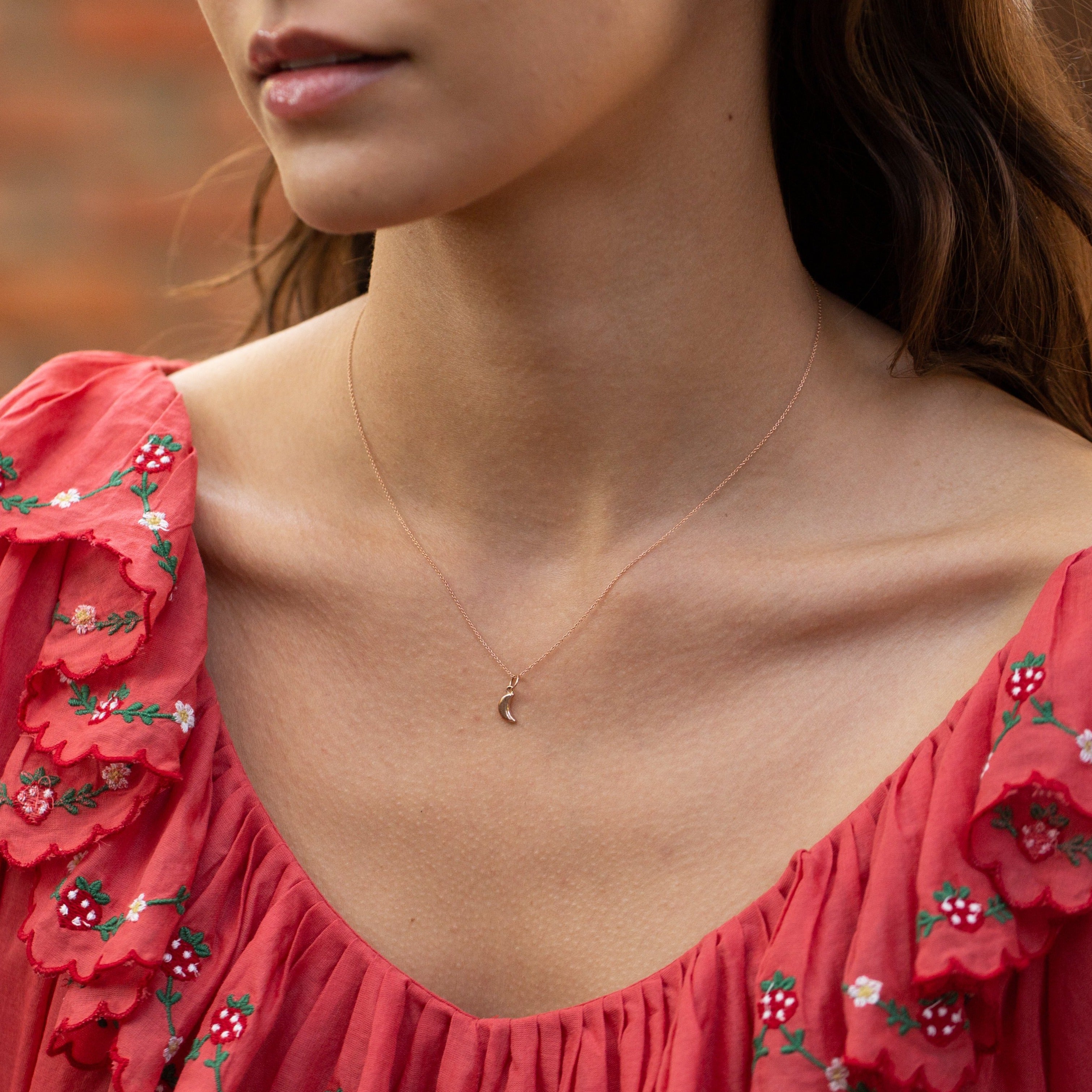 The F&B Crescent Moon Charm Necklace