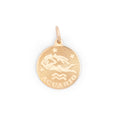 Aquario 18K Gold Charm