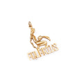 Aquarius Figure 14k Gold Zodiac Charm