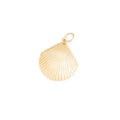 Seashell 14k Yellow Gold Charm