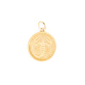 Scorpio 14k Gold Disc Zodiac Charm