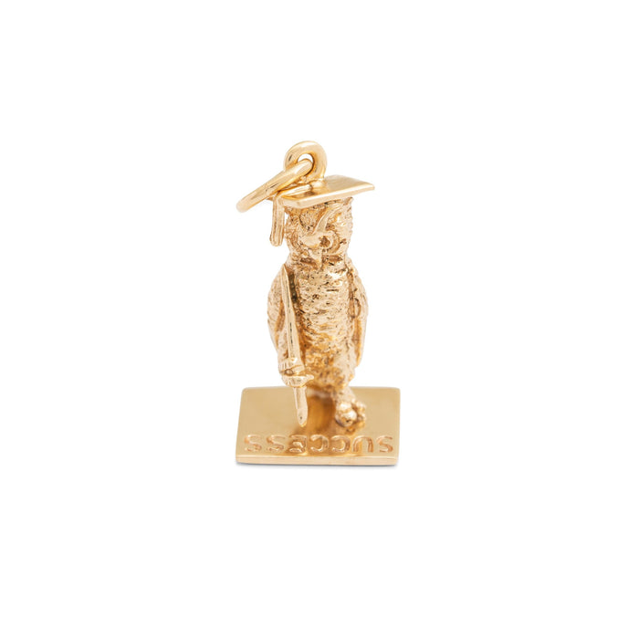 "Success" 14k Gold Wise Owl Charm