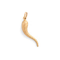 Italian Spiral Cornicello 14K Matte Gold Charm
