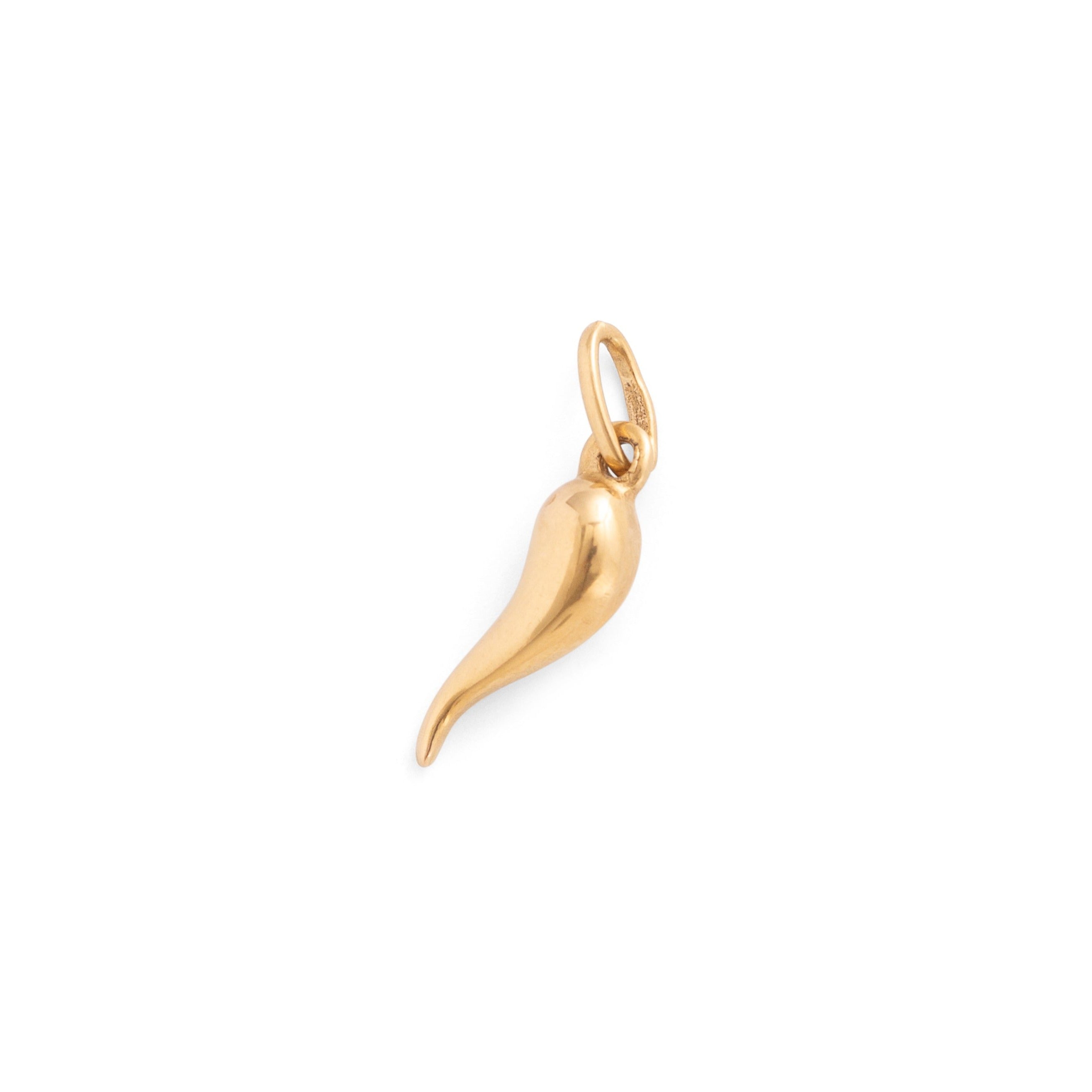 Petite Cornicello 18k Gold Charm