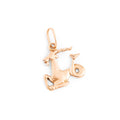 Russian Capricorn 14k Rose Gold Zodiac Charm