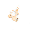 Russian Capricorn 14k Rose Gold Zodiac Charm
