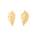 Leaf 14k Gold Drop Earrings