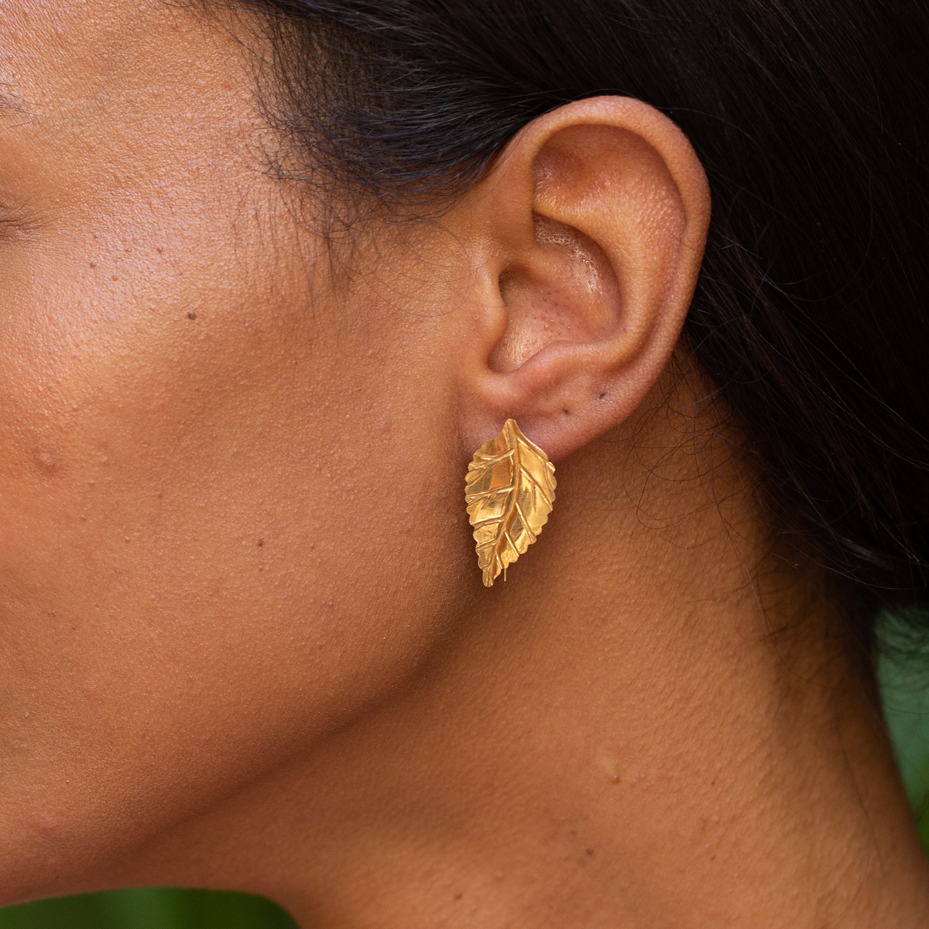 Leaf 14k Gold Drop Earrings