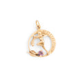 Acuario Amethyst And 14k gold Zodiac Charm