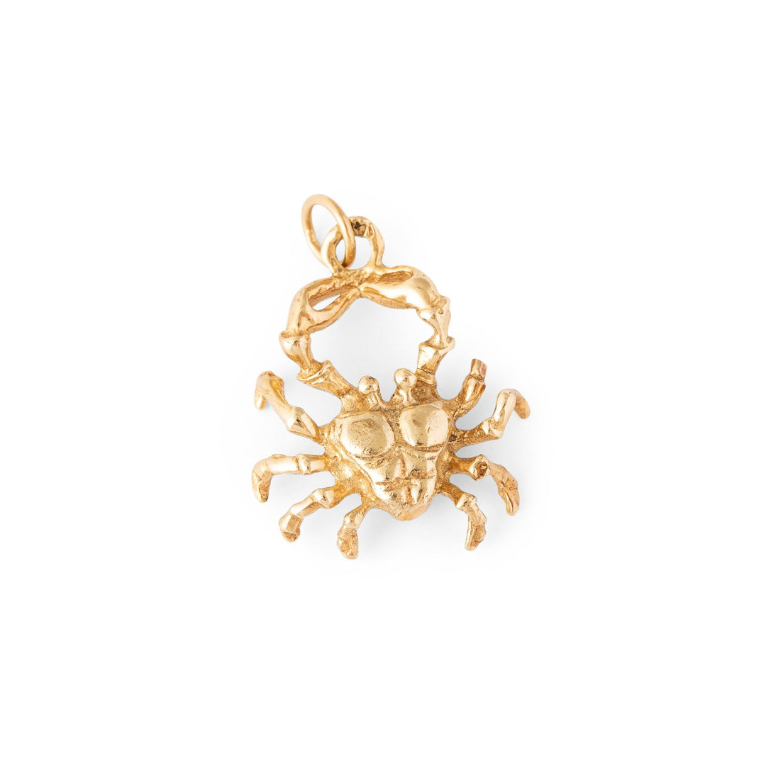 Cancer Crab 14k Gold Charm