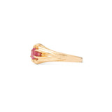 Ruby and 14k Gold Belcher Ring