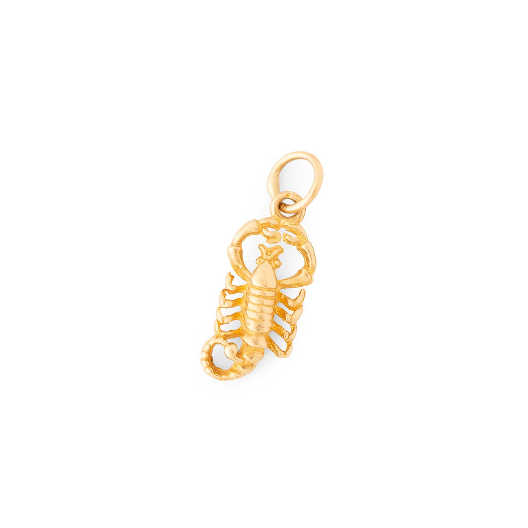 Scorpion 14k gold zodiac charm