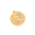 Large Pisces 14k Gold Zodiac Charm