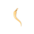 Cornicello 14K Gold Charm