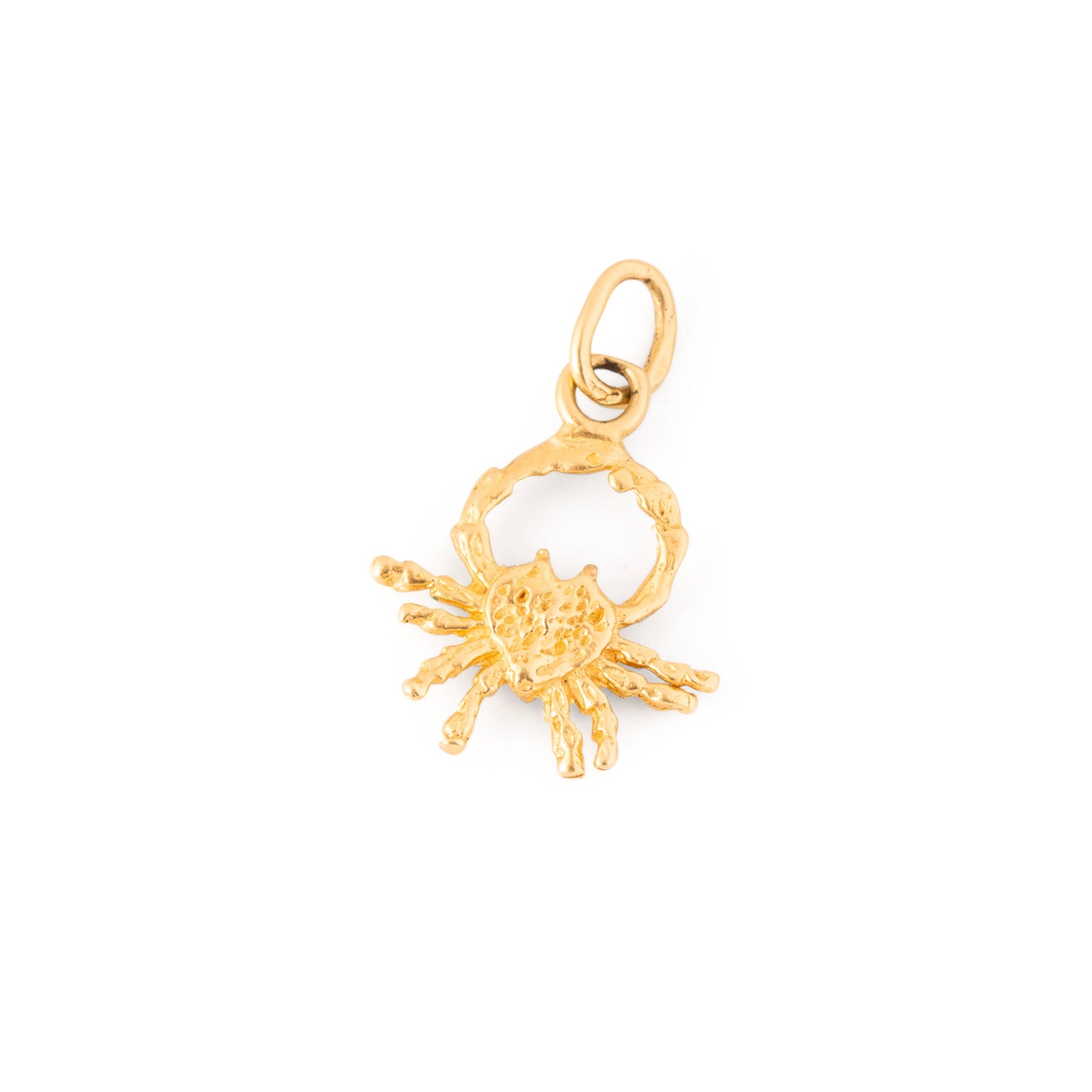 Crab Cancer Textured 14k Gold Zodiac Charm