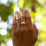 Bombe 14k Gold Dome Ring