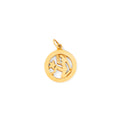 Virgo 14k Gold Zodiac Charm