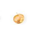 Round Shell 14k Gold Charm
