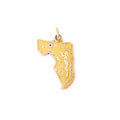 Enamel And 14k Gold Florida Charm