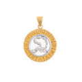 Scorpio Zodiac Wheel Bi-Color 14k Gold Charm